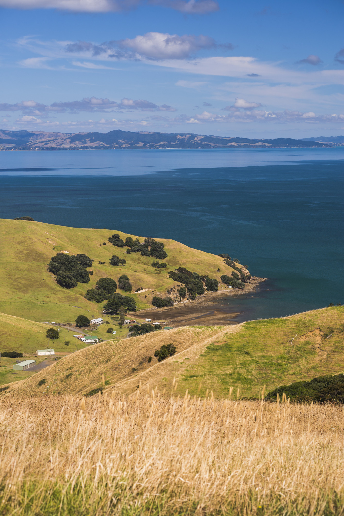 Noordereiland Coromandel West Coast bergen zee groen
