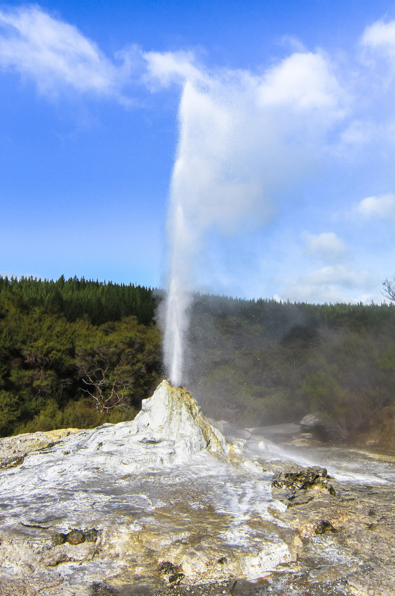 Nieuw-Zeeland Noordereiland Lady Know geiser