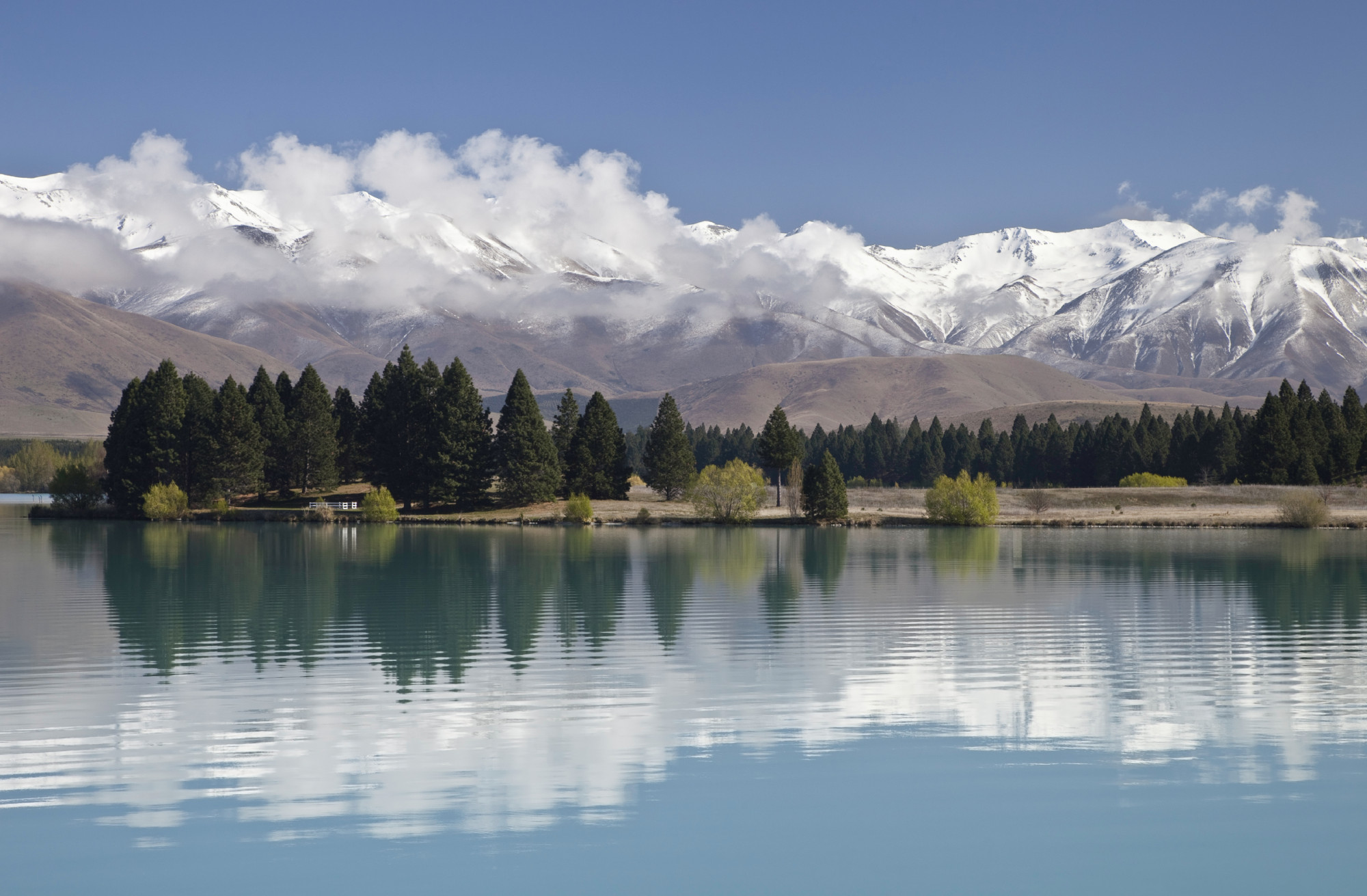 Nieuw-Zeeland besneeuwde bergtoppen meer bos