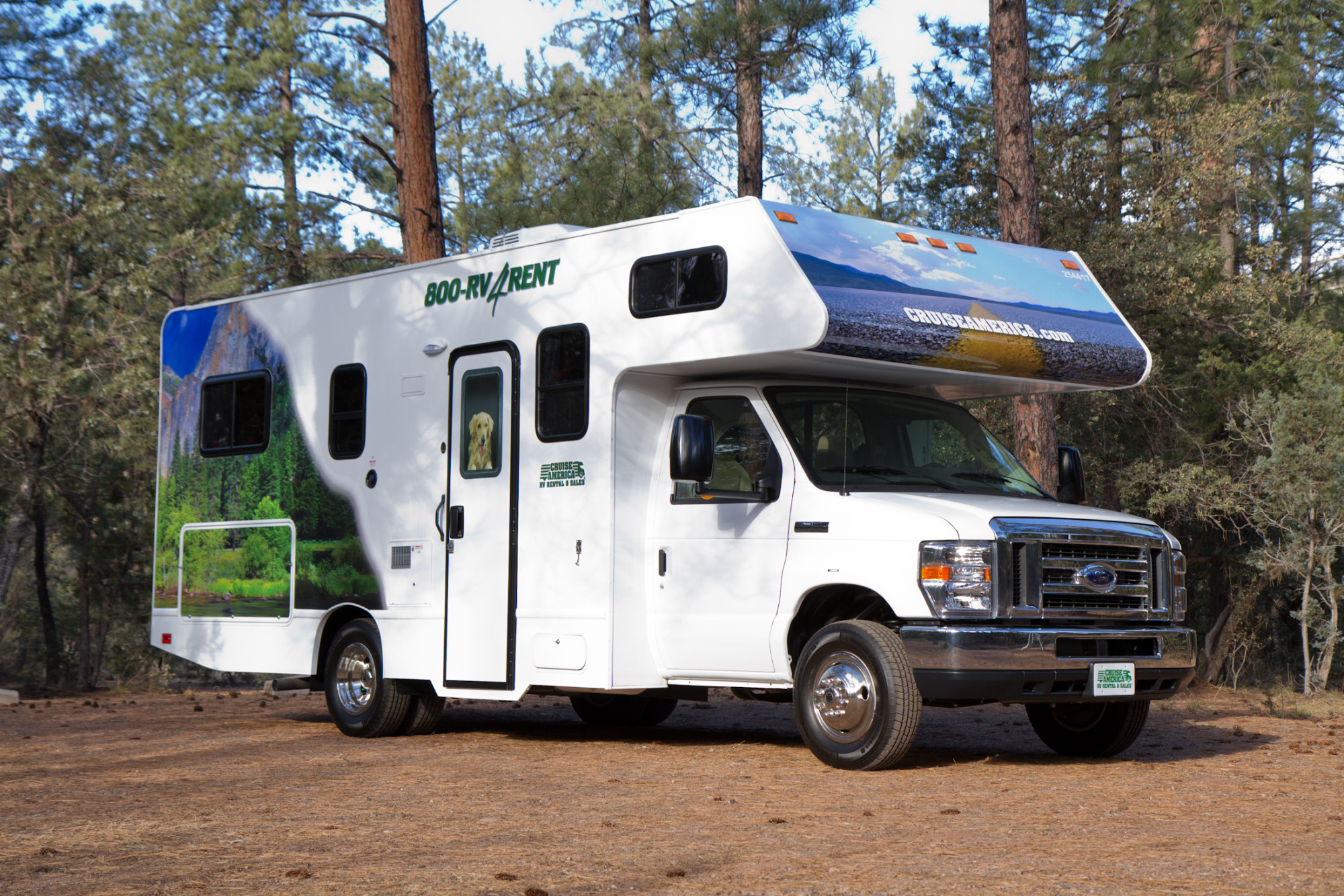 Cruise Canada C25 - Standard Motorhome camper in het bos