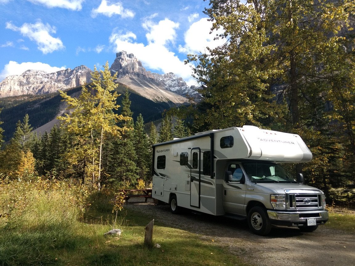 Four seasons C-large