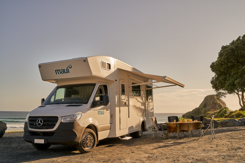 Maui NZ Beach aan het strand